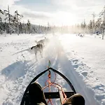 Lapland Pallas