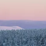 فندق Lapland Pallas
