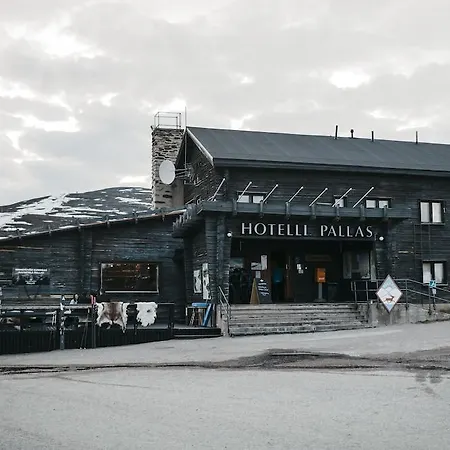 Lapland Pallas