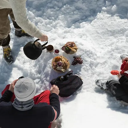 Lapland Pallas מלון 2*