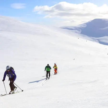 Ξενοδοχείο Lapland Pallas 2*