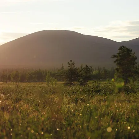 Ξενοδοχείο Lapland Pallas 2*