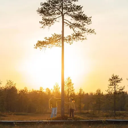 Ξενοδοχείο Lapland Pallas Pallastunturi