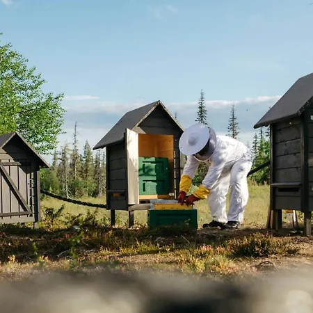 Lapland Pallas فندق