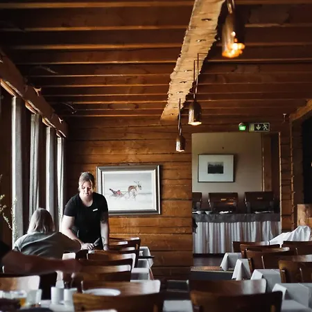 Lapland Pallas 酒店 3*