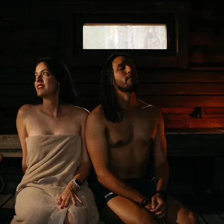 酒店 Lapland Pallas