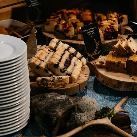 Hotel Lapland Pallas