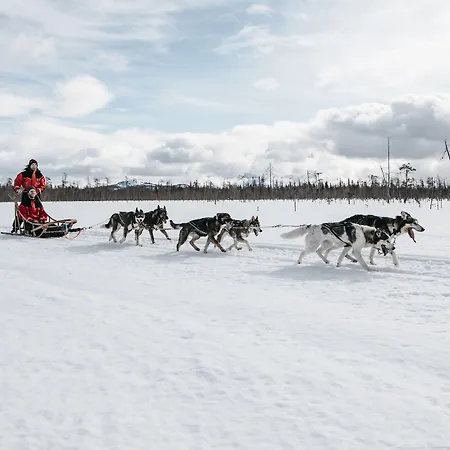 Lapland Pallas Pallastunturi