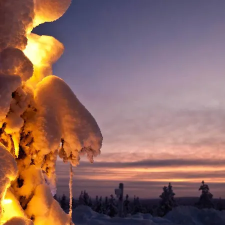 Lapland Pallas فندق 3*