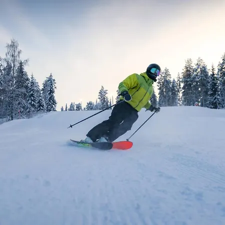 Hotel Lapland Pallas 3*