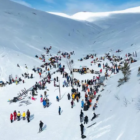 호텔 Lapland Pallas 팔라스툰투리