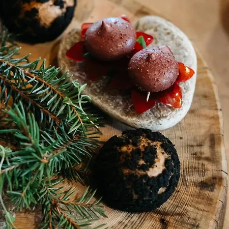 Lapland Pallas فندق