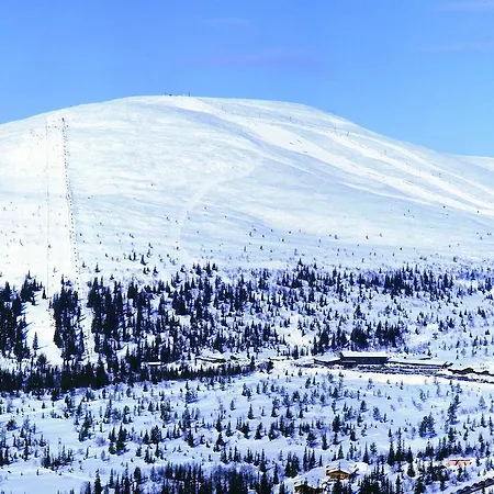 Lapland Pallas