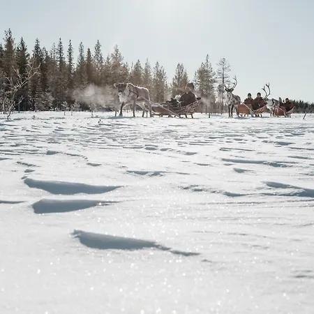 Lapland Pallas Hotel Pallastunturi