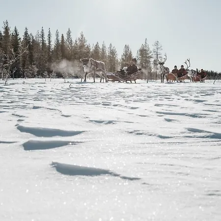 Lapland Pallas ホテル パラストゥントゥリ