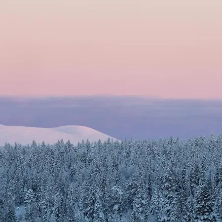 Hotel Lapland Pallas