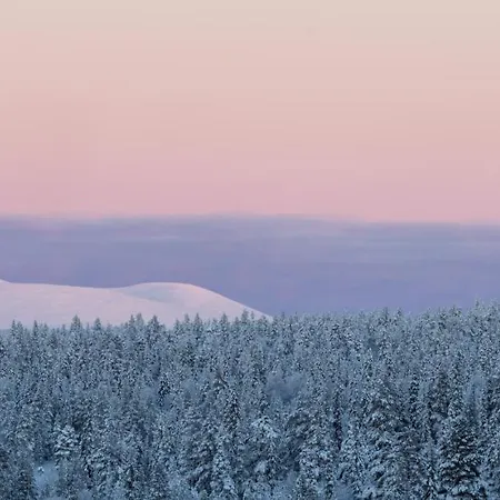 Hotel Lapland Pallas