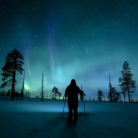 호텔 Lapland Pallas
