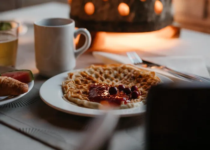 فندق Lapland Pallas بالّاستونتوري