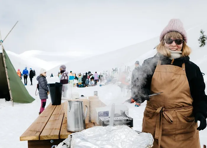 Lapland Pallas فندق بالّاستونتوري