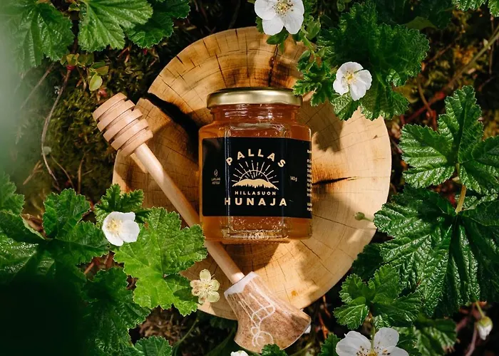 Lapland Pallas 3* بالّاستونتوري