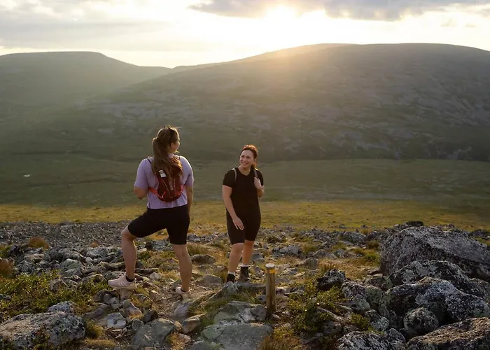 Lapland Pallas فندق