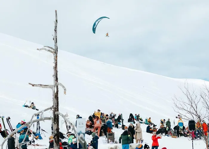 Lapland Pallas فندق