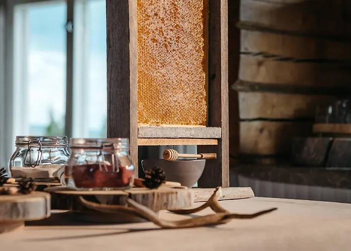 فندق Lapland Pallas