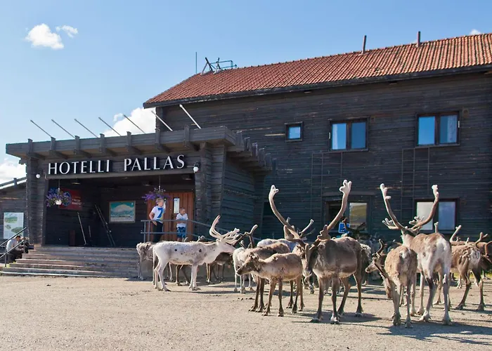 فندق Lapland Pallas بالّاستونتوري