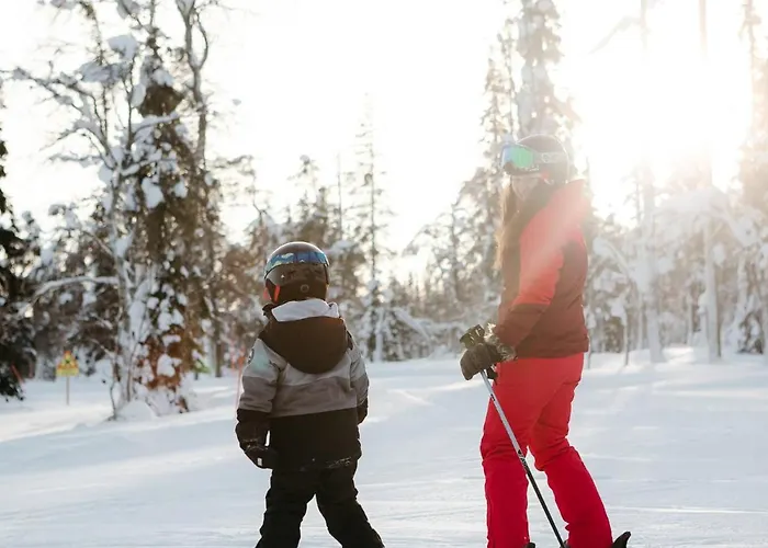 Lapland Pallas فندق بالّاستونتوري