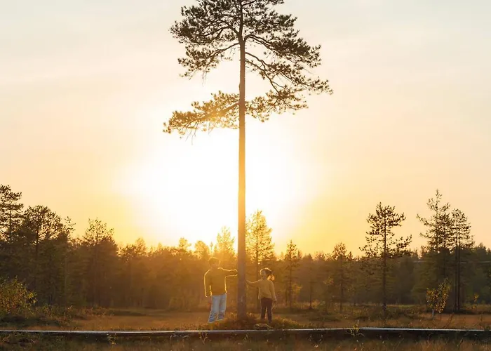 فندق Lapland Pallas بالّاستونتوري