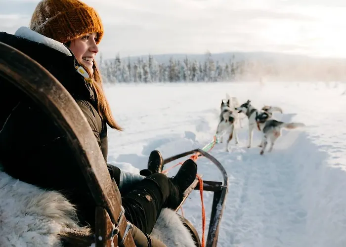 Lapland Pallas فندق بالّاستونتوري