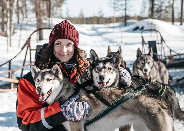 Lapland Pallas فندق