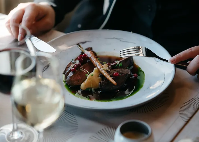 Lapland Pallas فندق