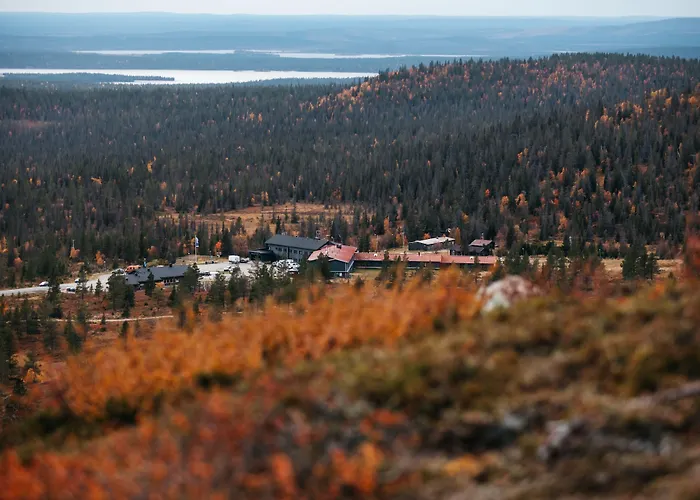 Lapland Pallas 3* بالّاستونتوري