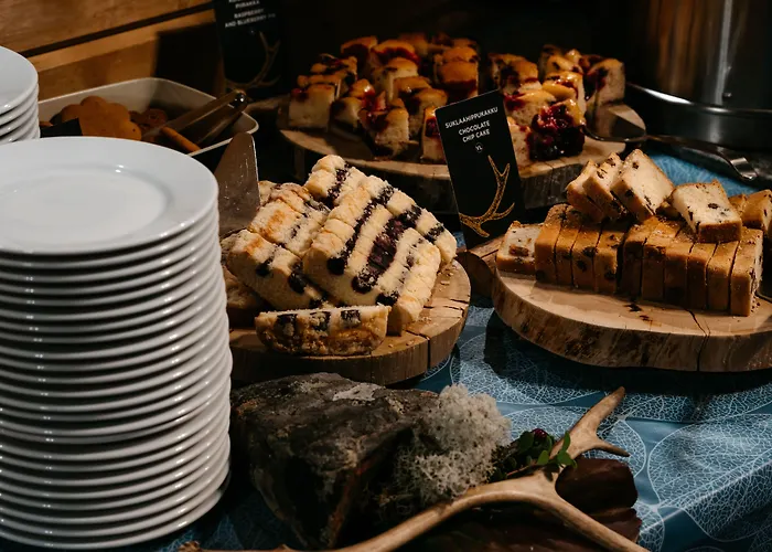 فندق Lapland Pallas