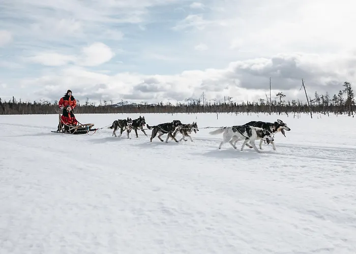 Lapland Pallas بالّاستونتوري