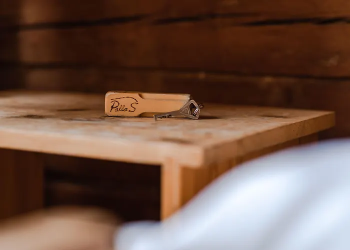 Lapland Pallas فندق