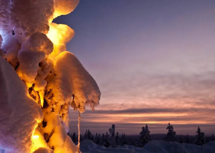 Lapland Pallas فندق 3*