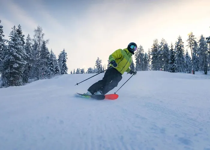 فندق Lapland Pallas 3*