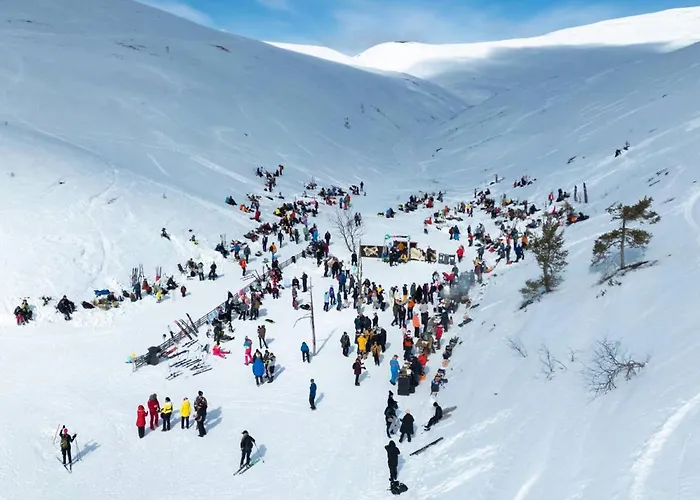 فندق Lapland Pallas بالّاستونتوري