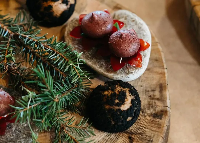 Lapland Pallas فندق