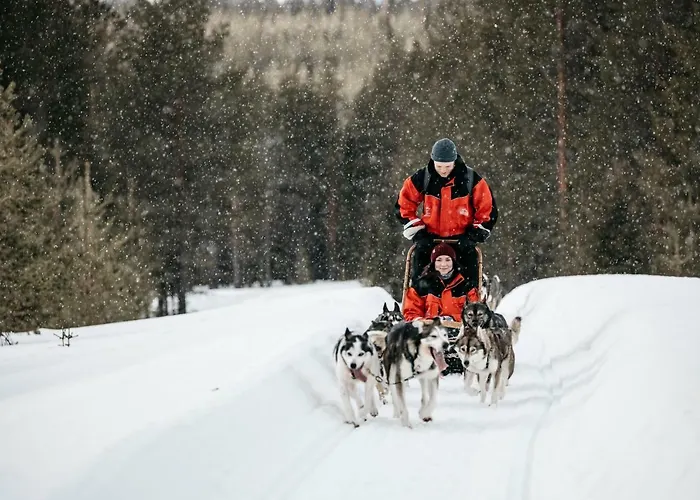 Lapland Pallas فندق