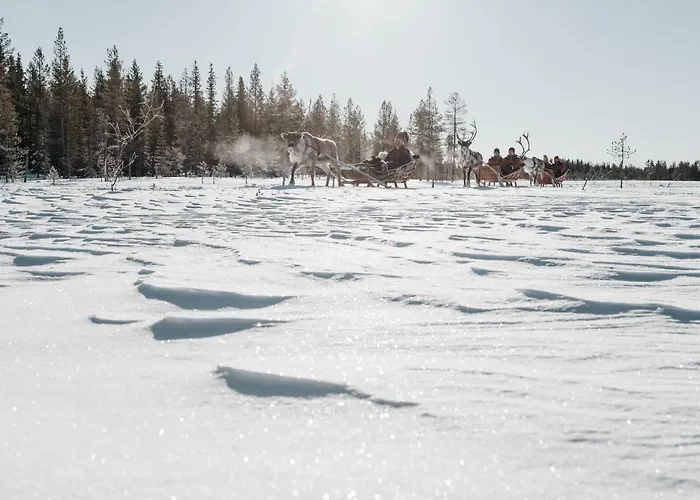 Lapland Pallas فندق بالّاستونتوري