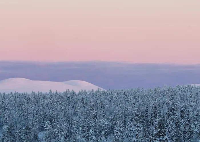 فندق Lapland Pallas