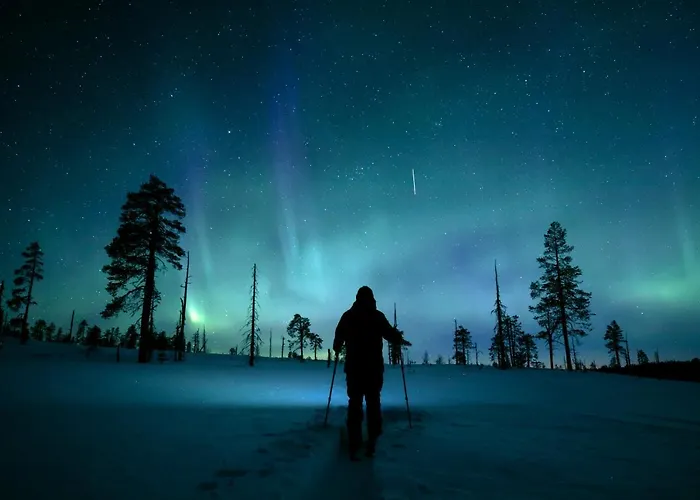 فندق Lapland Pallas